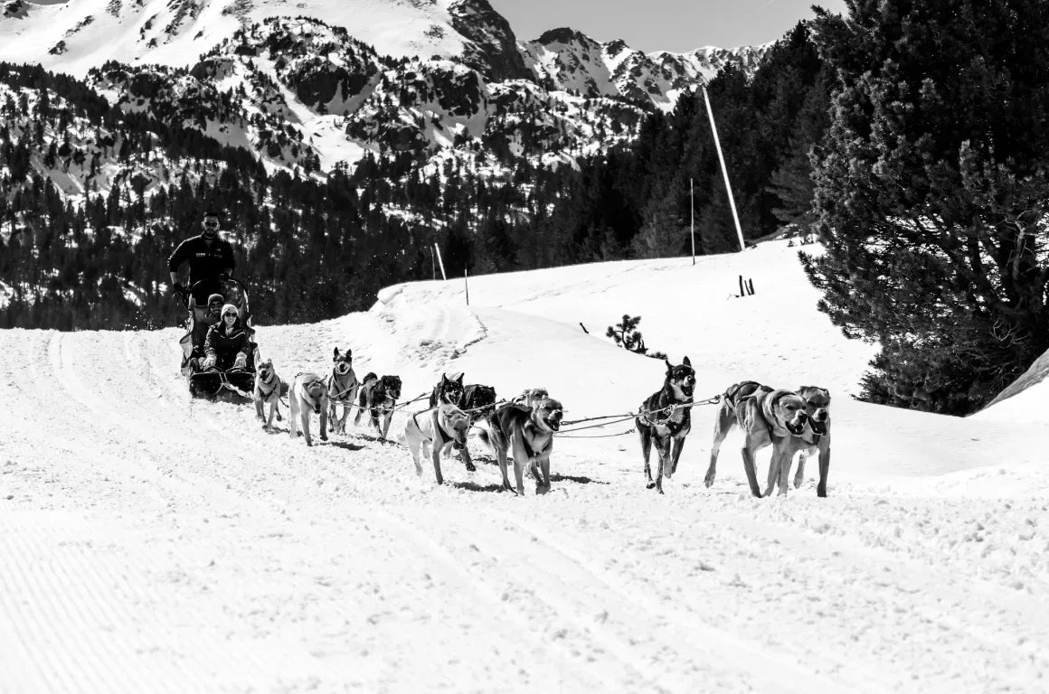 Mushing Andorra GrandValira | Excursión con Perros de Trineo - -CaranvaSports - temporada 2026